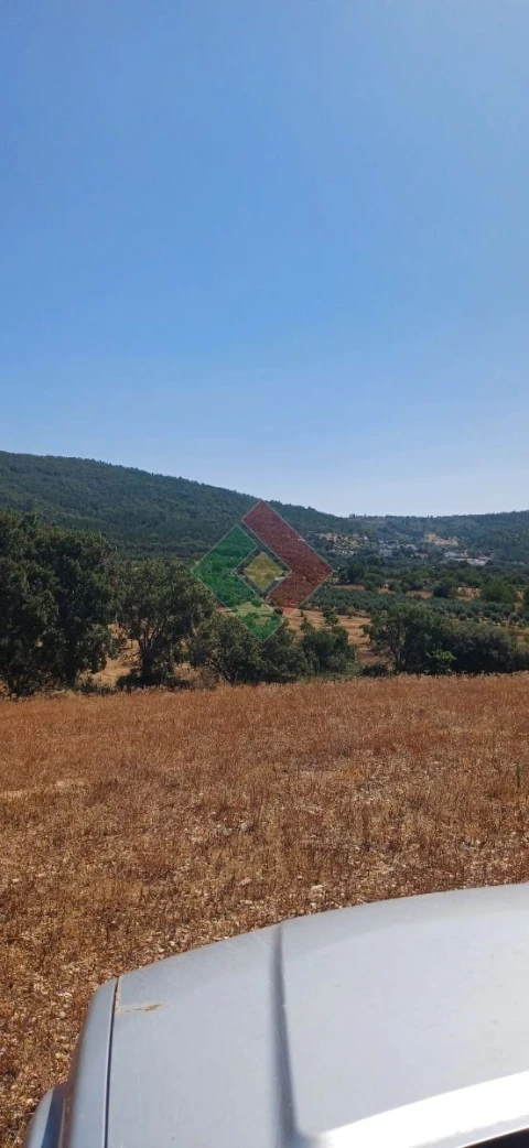 Terreno Agricola ou Rústico para Venda em São Salvador da Aramenha