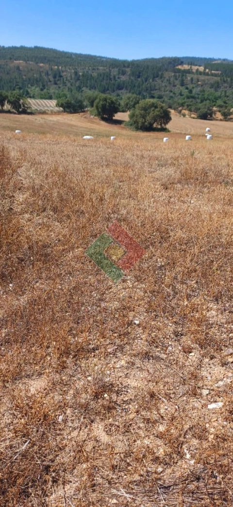 Terreno Agricola ou Rústico para Venda em São Salvador da Aramenha