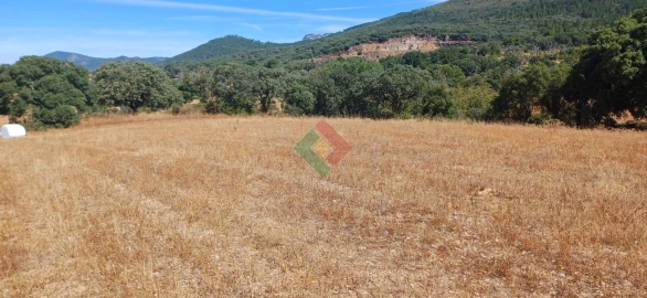 Terreno Agricola ou Rústico para Venda em São Salvador da Aramenha