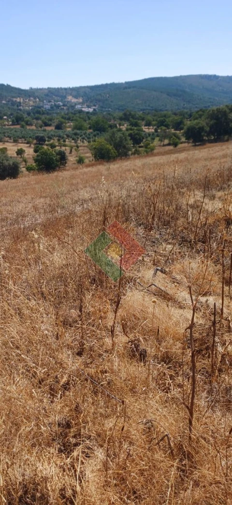 Terreno Agricola ou Rústico para Venda em São Salvador da Aramenha