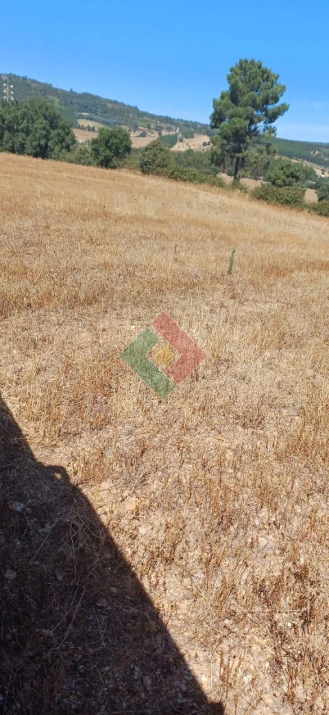 Terreno Agricola ou Rústico para Venda em São Salvador da Aramenha