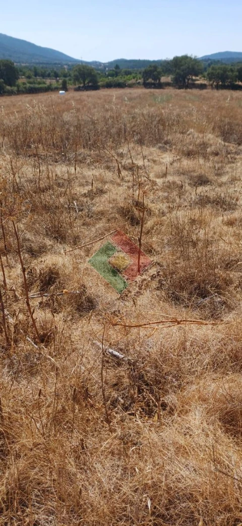 Terreno Agricola ou Rústico para Venda em São Salvador da Aramenha