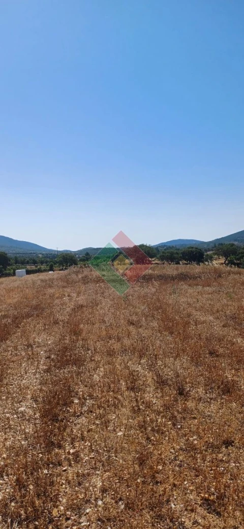 Terreno Agricola ou Rústico para Venda em São Salvador da Aramenha