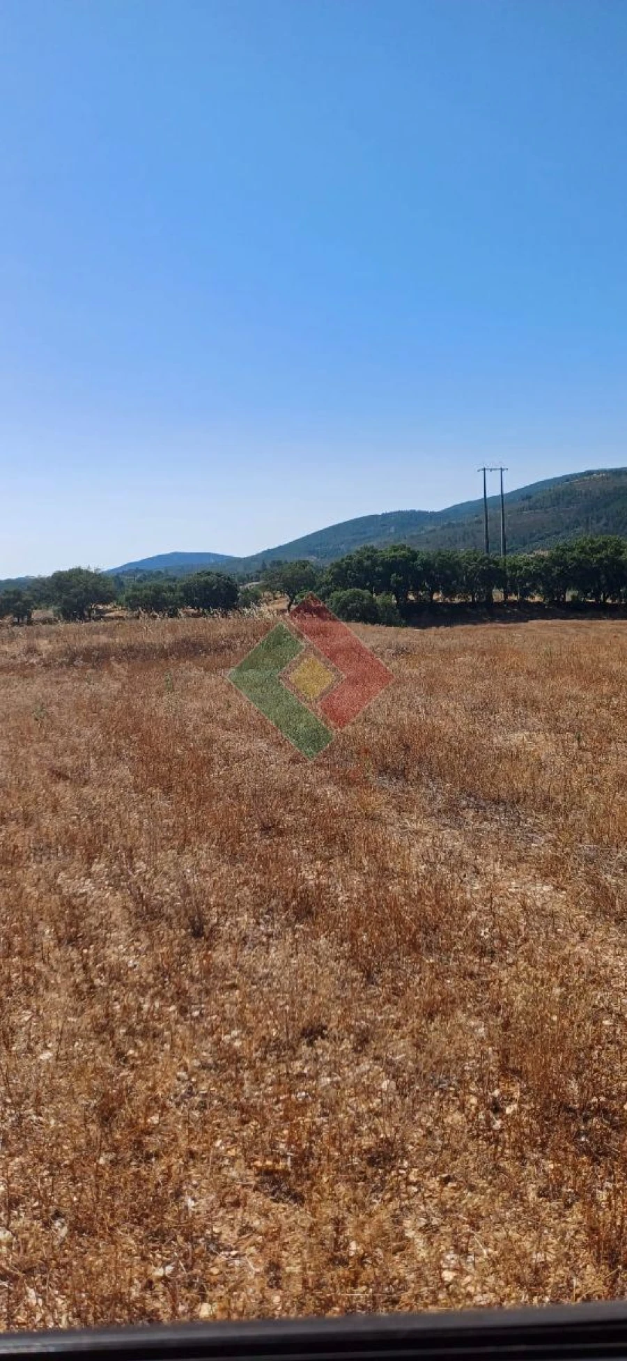 Terreno Agricola ou Rústico para Venda em São Salvador da Aramenha Foto 6