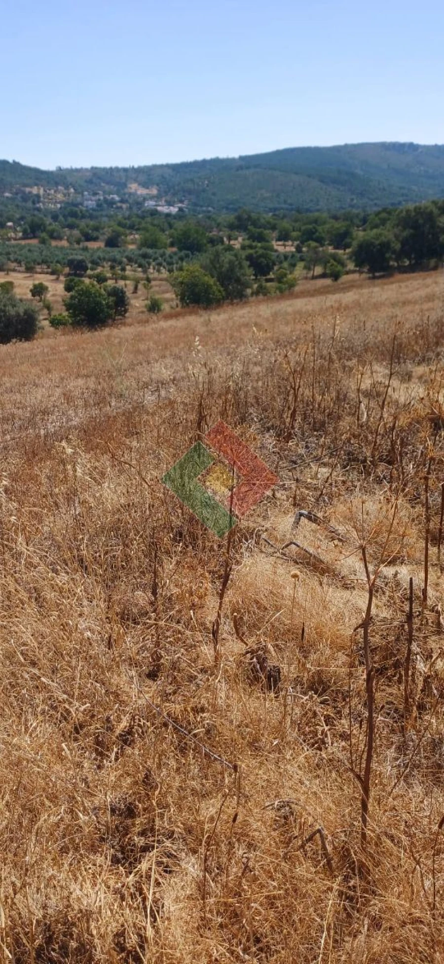 Terreno Agricola ou Rústico para Venda em São Salvador da Aramenha Foto 7