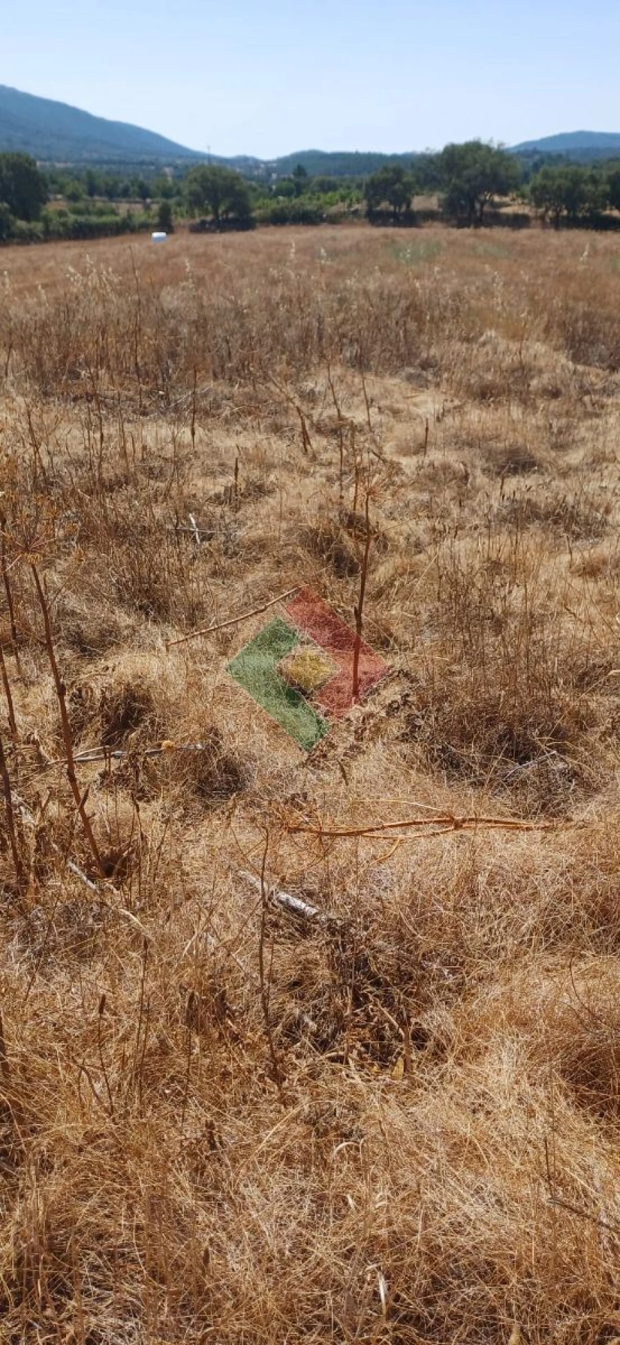 Terreno Agricola ou Rústico para Venda em São Salvador da Aramenha Foto 8