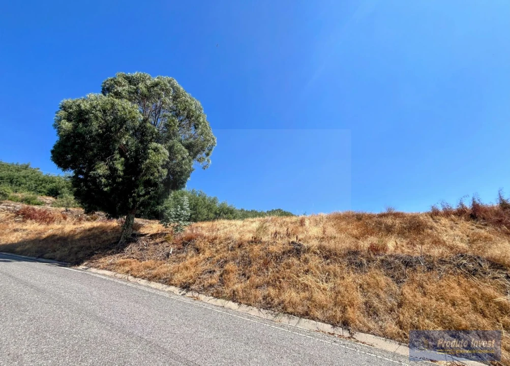 Terreno para Venda em Alpedrinha Foto 21