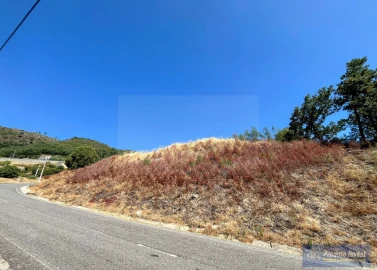 Terreno para Venda em Alpedrinha