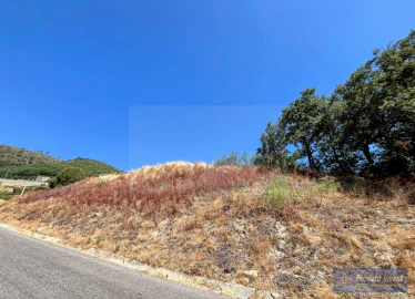 Terreno para Venda em Alpedrinha