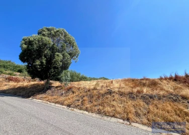 Terreno para Venda em Alpedrinha