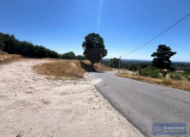 Terreno para Venda em Alpedrinha