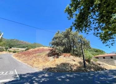 Terreno para Venda em Alpedrinha