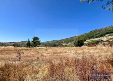 Terreno para Venda em Alpedrinha