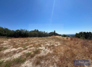Terreno para Venda em Alpedrinha