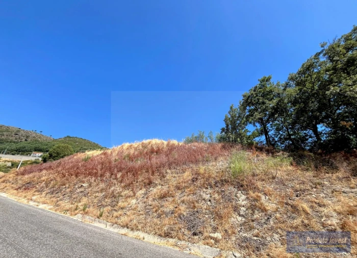 Terreno para Venda em Alpedrinha Foto 17