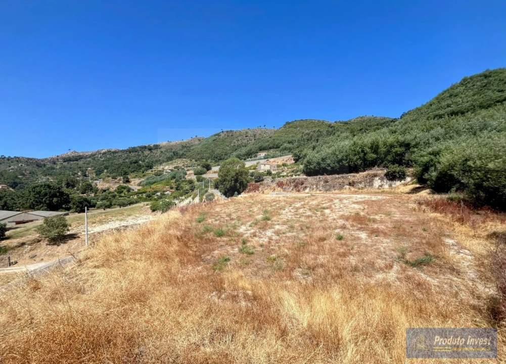 Terreno para Venda em Alpedrinha Foto 3