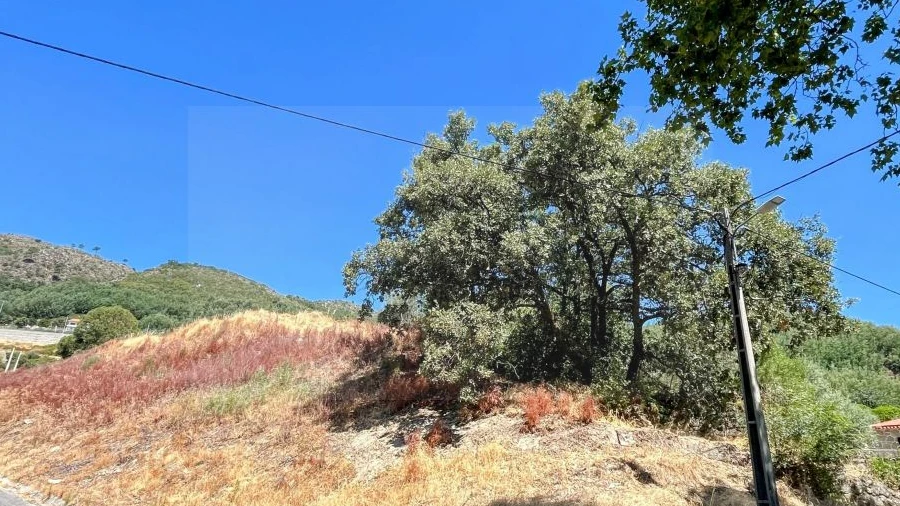 Terreno para Venda em Alpedrinha