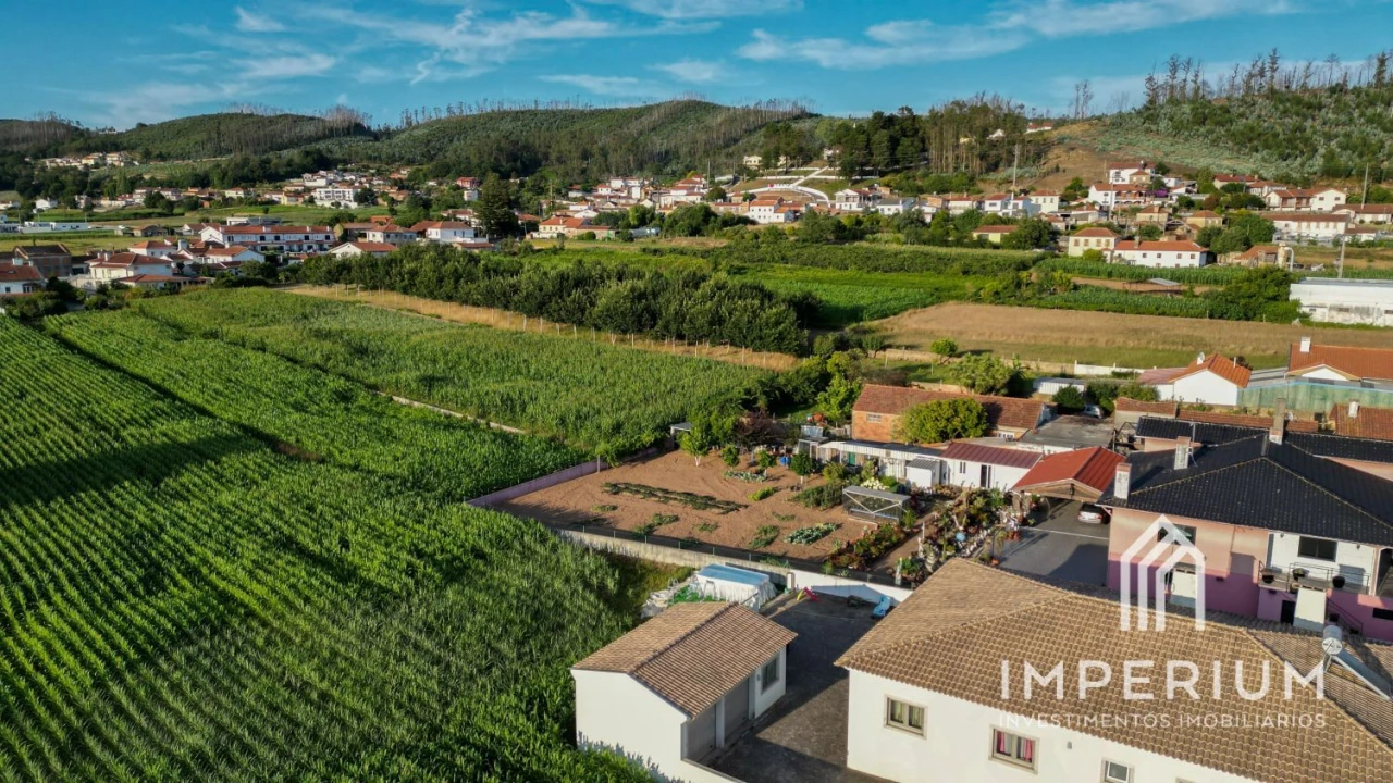 Terreno para Venda em Branca Foto 5