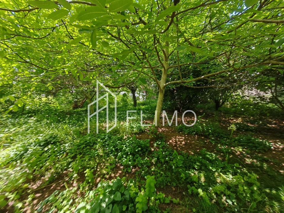 Moradia T4 para Venda em Arrifana Foto 25