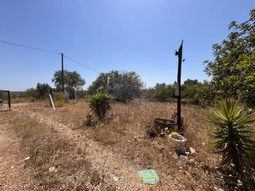 Terreno para Venda em São Bartolomeu de Messines