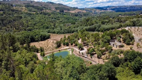 Quinta T1 para Venda em Povolide