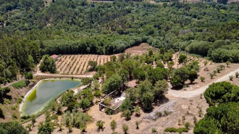 Quinta T1 para Venda em Povolide