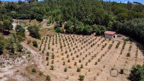 Quinta T1 para Venda em Povolide