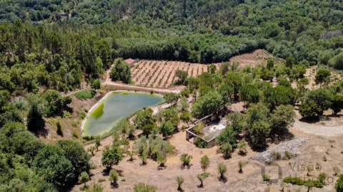 Quinta T1 para Venda em Povolide