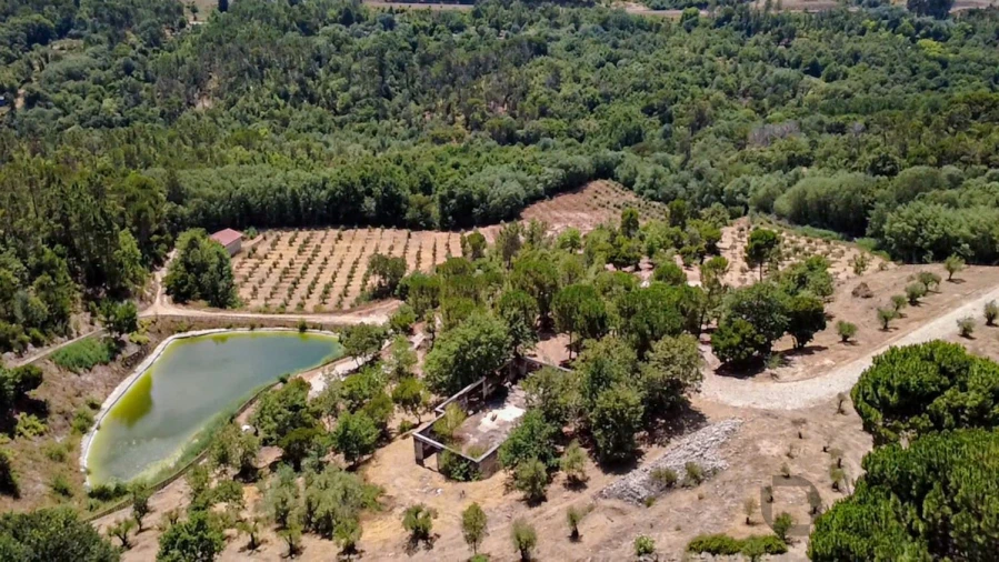 Quinta T1 para Venda em Povolide Foto 36