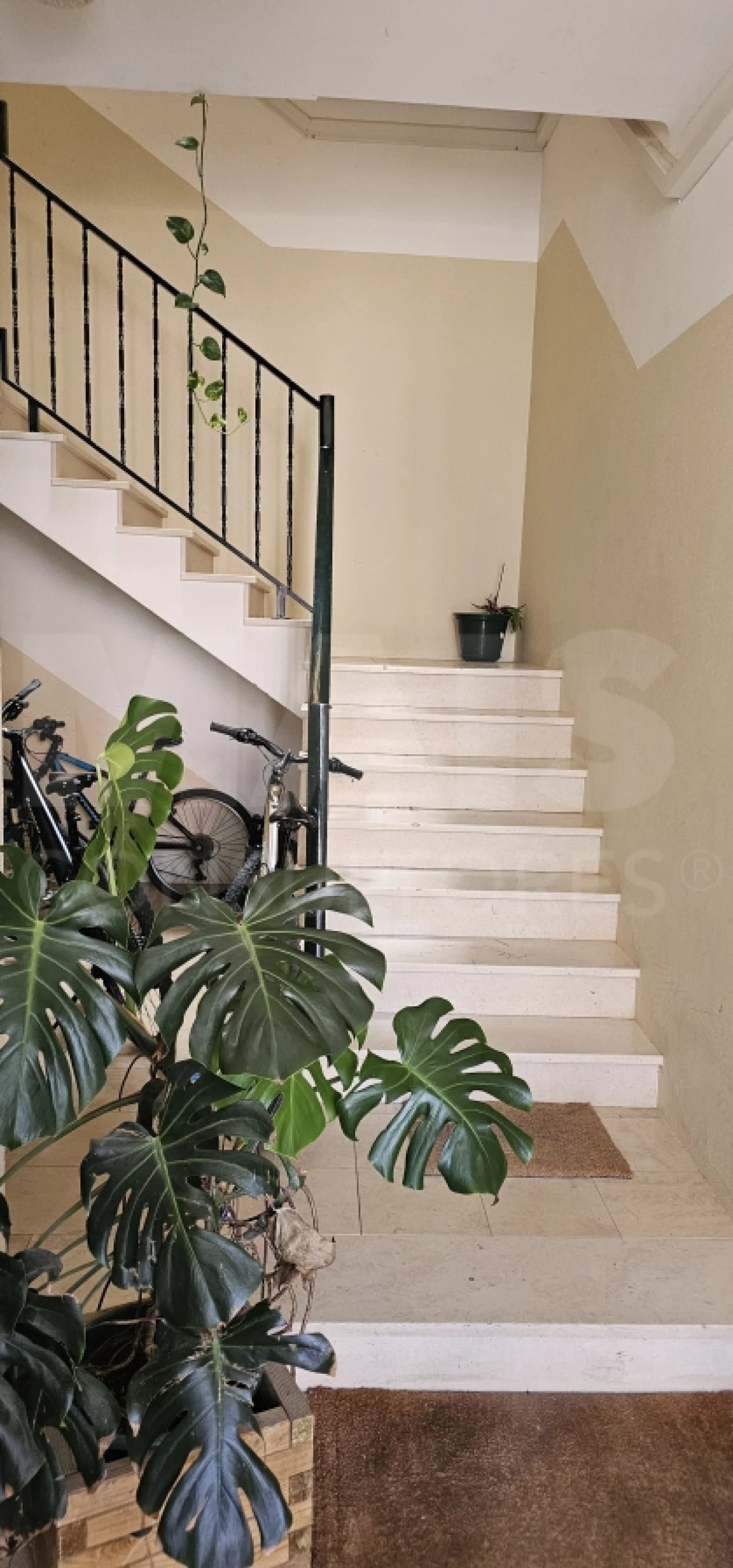 Apartamento T3 para Venda em Alpiarça Foto 3