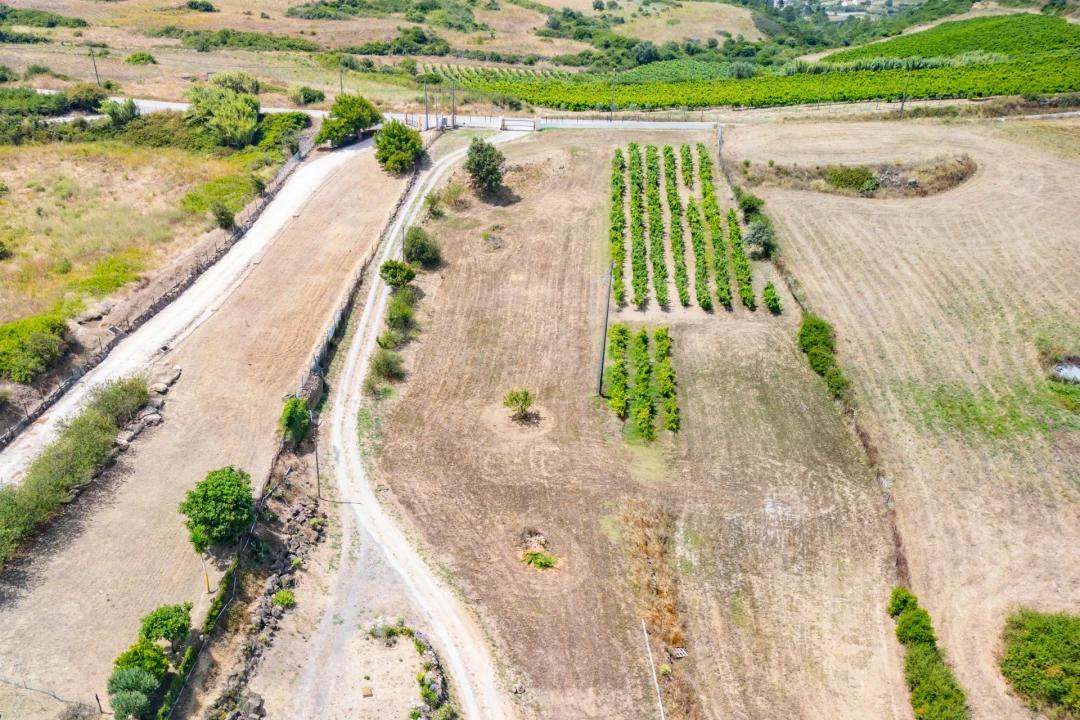Moradia T4 para Venda em Carnota Foto 8