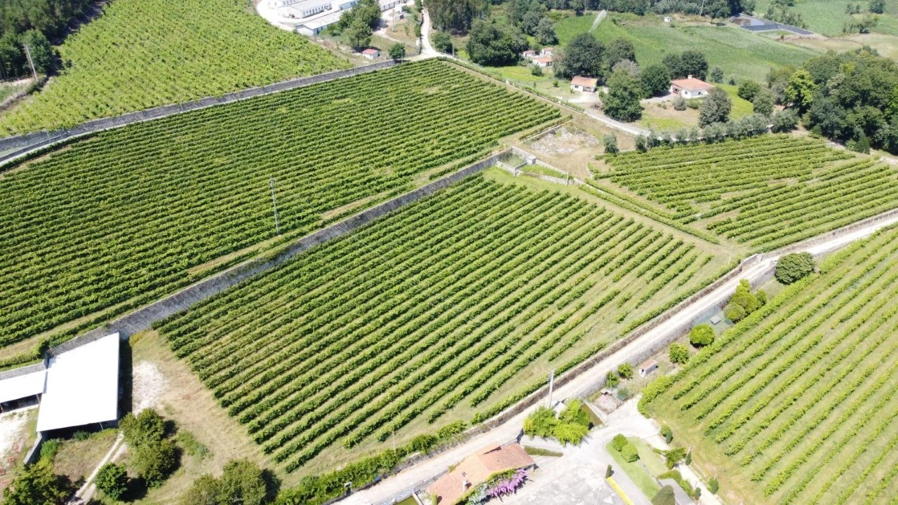 Moradia T13 para Venda em Santo Emilião Foto 20