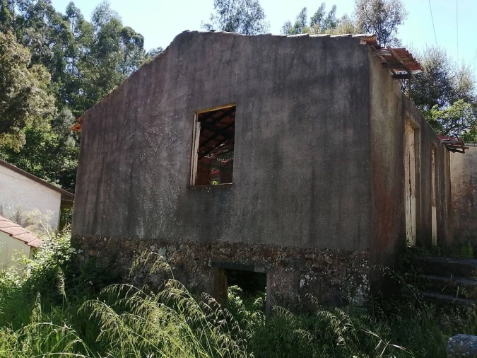 Moradia T2 para Venda em Caldas de São Jorge e Pigeiros Foto 3