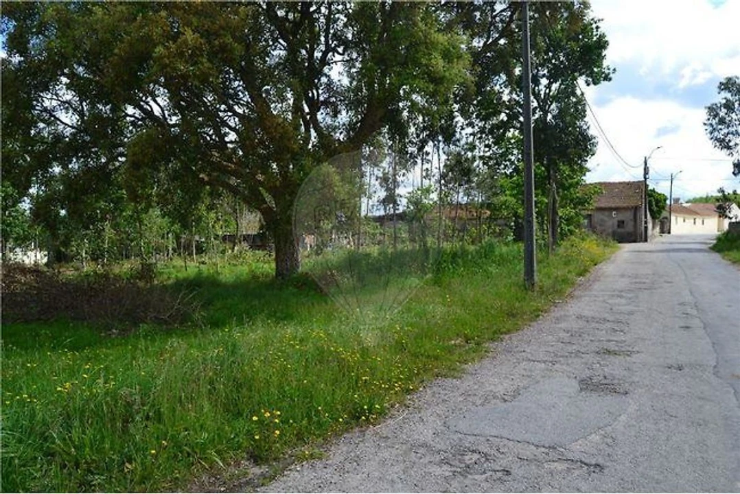 Terreno para Venda em Valega Foto 1