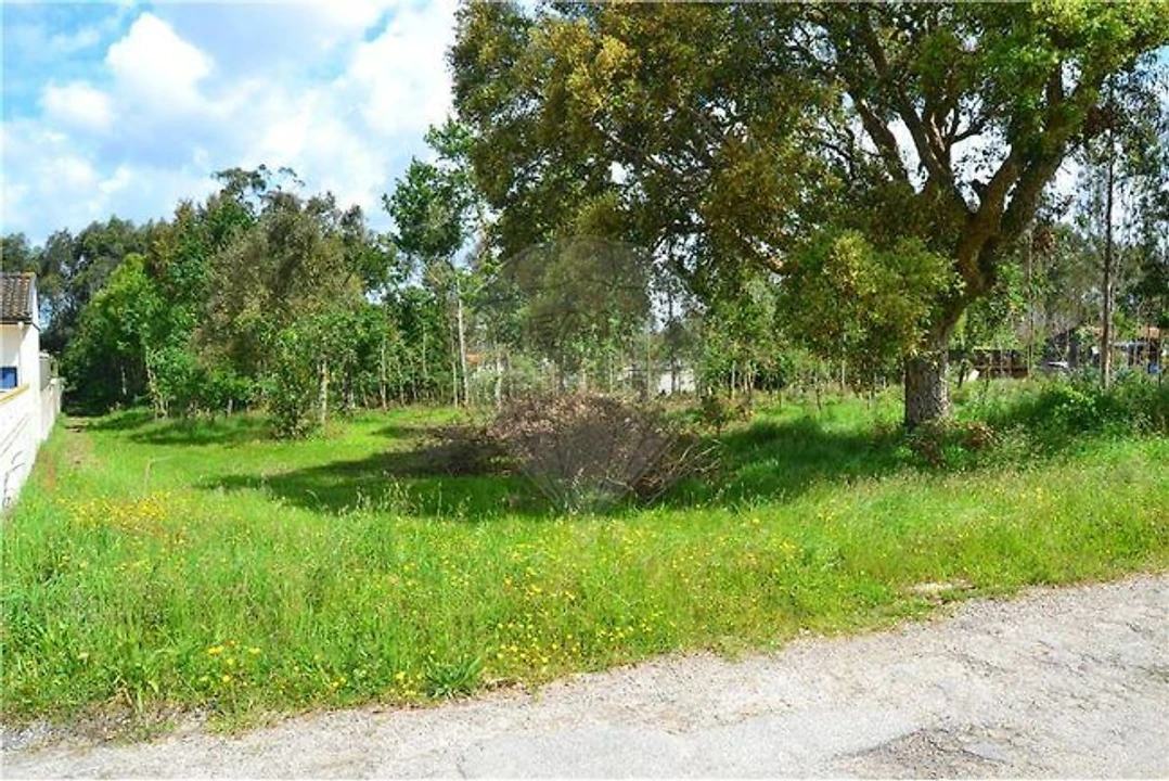 Terreno para Venda em Valega Foto 3