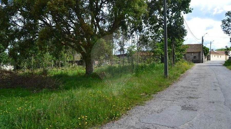 Terreno para Venda em Valega