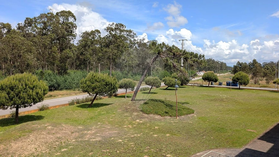 Apartamento T1 para Venda em Ovar, São João, Arada e São Vicente de Pereira Jusã Foto 28