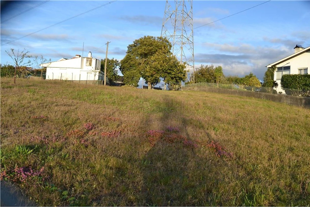 Terreno para Venda em Lobão, Gião, Louredo e Guisande Foto 3