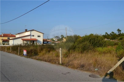 Terreno para Venda em Torreira