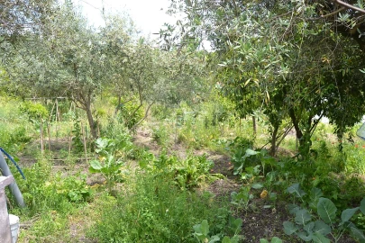 Moradia T5 para Venda em Ribeira de Nisa e Carreiras