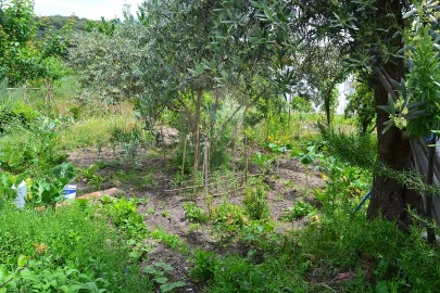 Moradia T5 para Venda em Ribeira de Nisa e Carreiras
