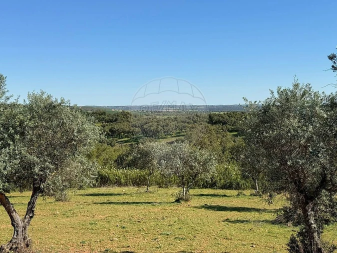 Moradia T2 para Venda em Esperança Foto 34