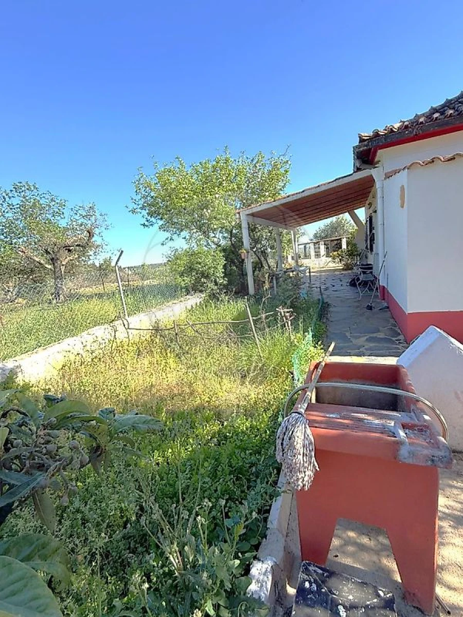 Moradia T2 para Venda em Esperança Foto 32