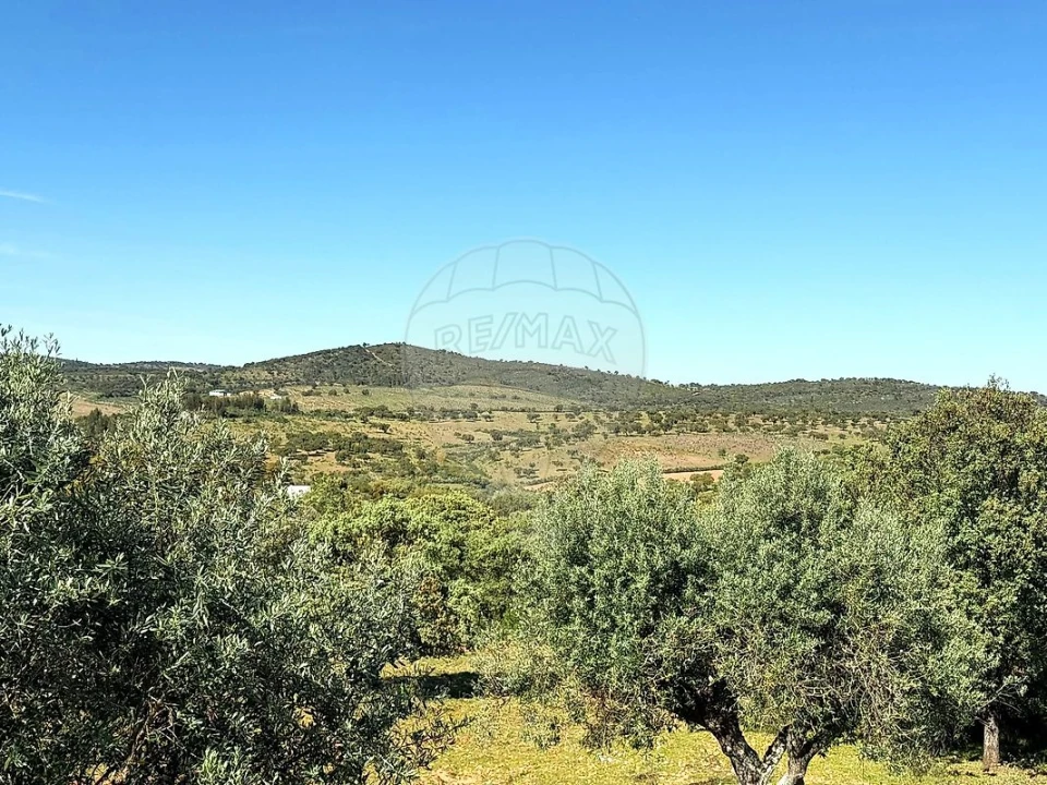 Moradia T2 para Venda em Esperança Foto 22