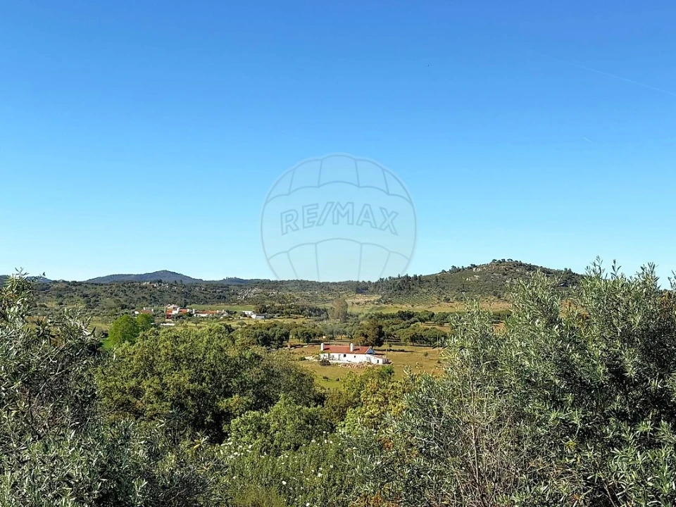 Moradia T2 para Venda em Esperança Foto 23