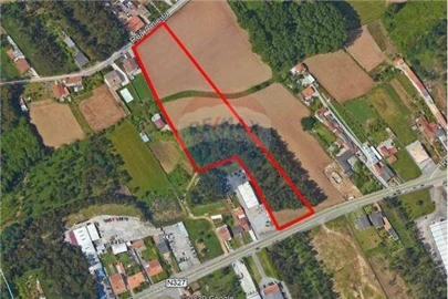 Terreno para Venda em São Miguel do Souto e Mosteirô