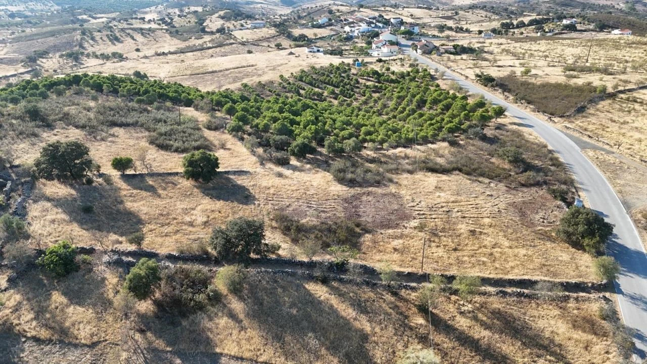 Terreno para Venda em Alcoutim e Pereiro Foto 2