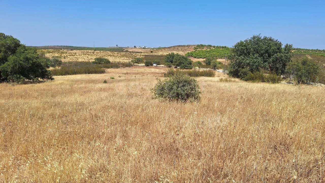Terreno para Venda em Alcoutim e Pereiro Foto 5