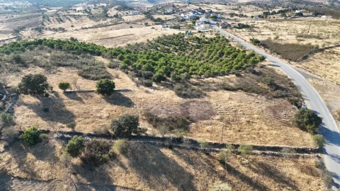 Terreno para Venda em Alcoutim e Pereiro