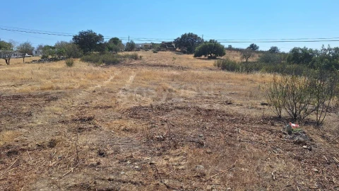 Terreno para Venda em Alcoutim e Pereiro